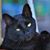 Keith Green Sr.'s profile image