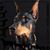 DonaLeigh Engstrom's profile image