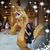 Mercedes Chu's profile image