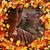 Jillian Quaglia's profile image