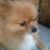 Diane Luksa's profile image
