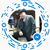 Gerarardo Ventura's profile image
