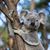 Sharon McKinley's profile image