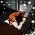 Shirley Anderson's profile image