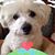 Maureen McGlynn Franz's profile image