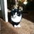 SoBe Trish Dawes's profile image