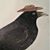 Lynda LaFon's profile image