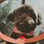 Barb Elbert's profile image