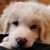 Kathy DeVault's profile image