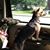 Tammy Lynn's profile image