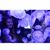 Claire Howland's profile image