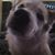 Anna Gabel's profile image