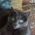 Tracy Yannizzi's profile image