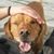 Wendy Stewart's profile image