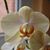 Kristi Wooding's profile image