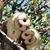 Pam Jipson Ryan's profile image