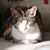 Kien T. Han's profile image