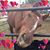 Nancy Coxwell's profile image