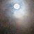 Chrystine Wharton Morris's profile image