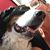 Suzanne Waterson-Hengeli's profile image