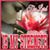 Crystal Larthridge's profile image