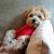 Beth Bieze's profile image