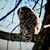 Vivian Bexell's profile image