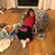 Diane Schroeher Zarick's profile image