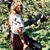 Emma Dorval's profile image