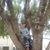 Kimberly Collins's profile image