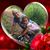 Janis Reuter's profile image