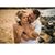 Courtney Cahill Abbott's profile image