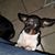 Victor Purpuree's profile image