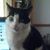 Pamela Hill-Kern's profile image