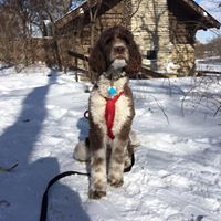 Jack McKittrick's profile image