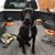 Tonya Combes's profile image