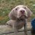 Terry Garner's profile image