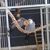 Kathy Roughton's profile image
