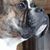 Douglas Byrd's profile image