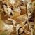 Sally Sale Grooms's profile image
