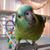 Mark T Bell's profile image