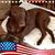 Connie Dayton's profile image