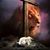 Peter Anthony Hovis's profile image