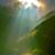 Cile Guidry's profile image