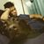 SImon Kuang's profile image