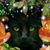 Alice Gettemy's profile image