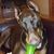 Brian Thomas's profile image