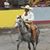 Marcos Miron Herrera's profile image