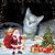 Becky Hutek's profile image