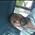 Josh Goins's profile image